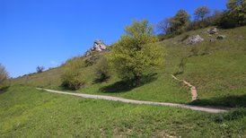 Die Kalk-Magerrasen im Naturschutzgebiet Spielburg beherbergen eine seltene Pflanzen- und Tierwelt