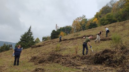 Landschaftspflegeeinsatz im Naturschutzgebiet "Oberer Berg" am 9. Oktober 2025 Landschaftspflegeeinsatz im Naturschutzgebiet "Oberer Berg" am 9. Oktober 2025