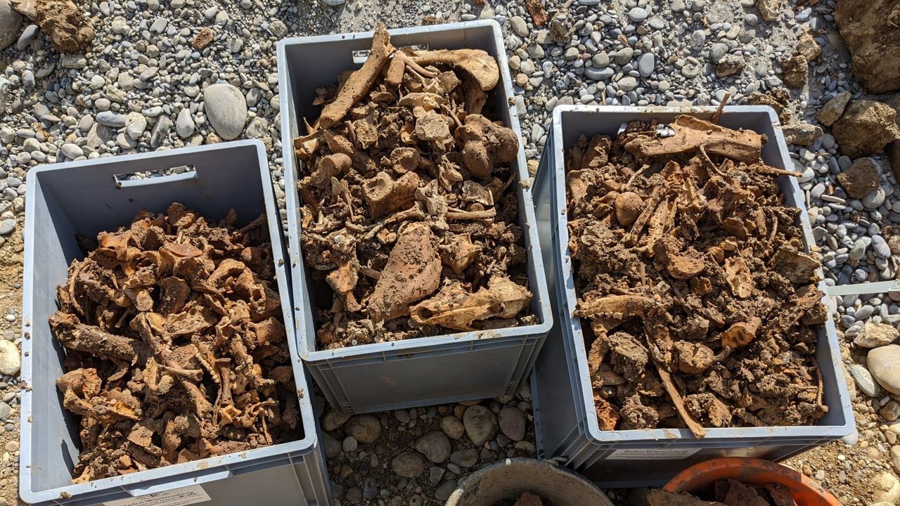 Bild zeigt Bruchstücke aus Ziegeln und Tierknochen