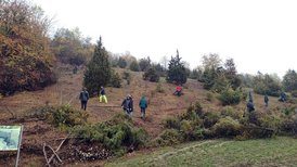 Landschaftspflegeeinsatz