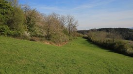 Das Naturschutzgebiet weist artenreiche Wiesen- und Heckenlandschaften auf
