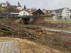 Notwendige Rodung im Vorfeld der Baumaßnahme entlang des Kochers im Bereich von BW 1 und BW 2