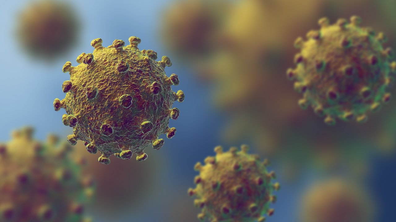 Das Corona-Virus