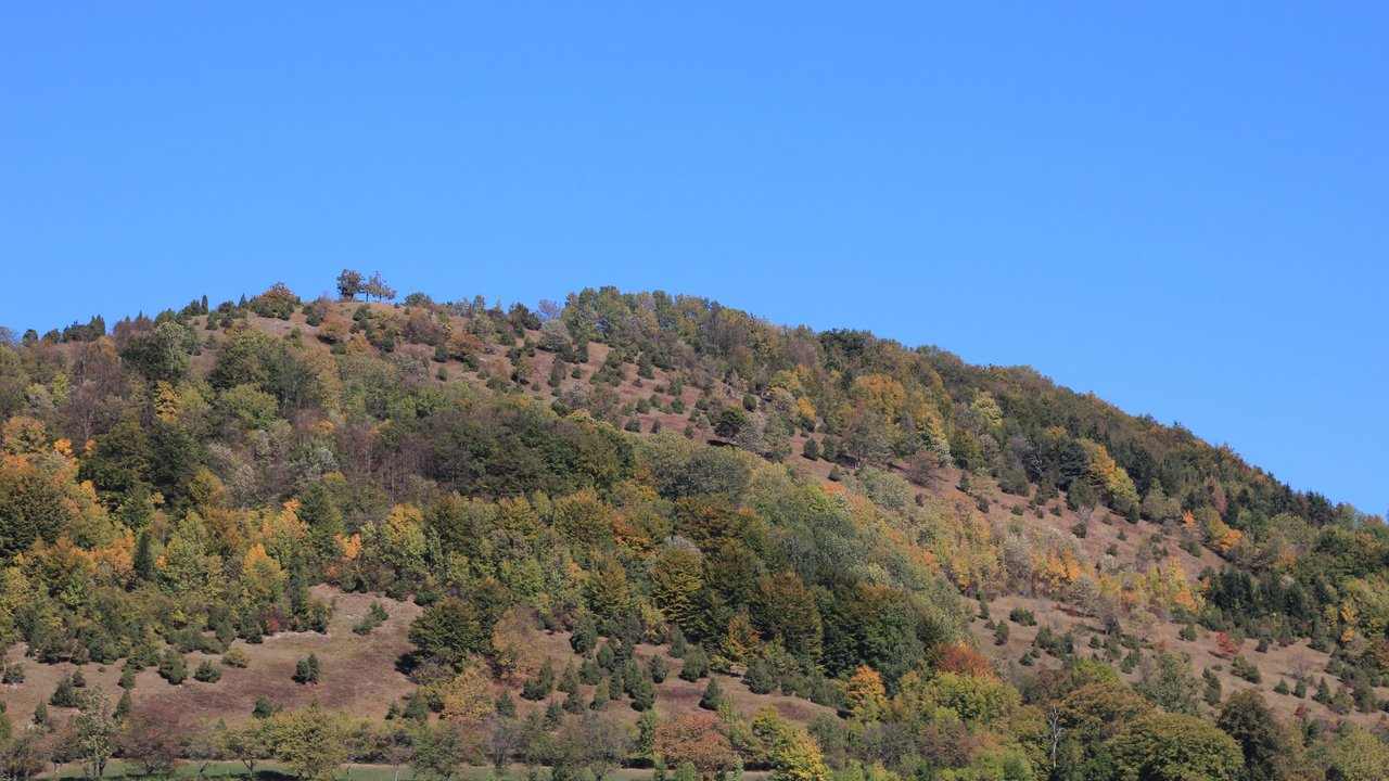 Naturschutzgebiet Haarberg-Wasserberg