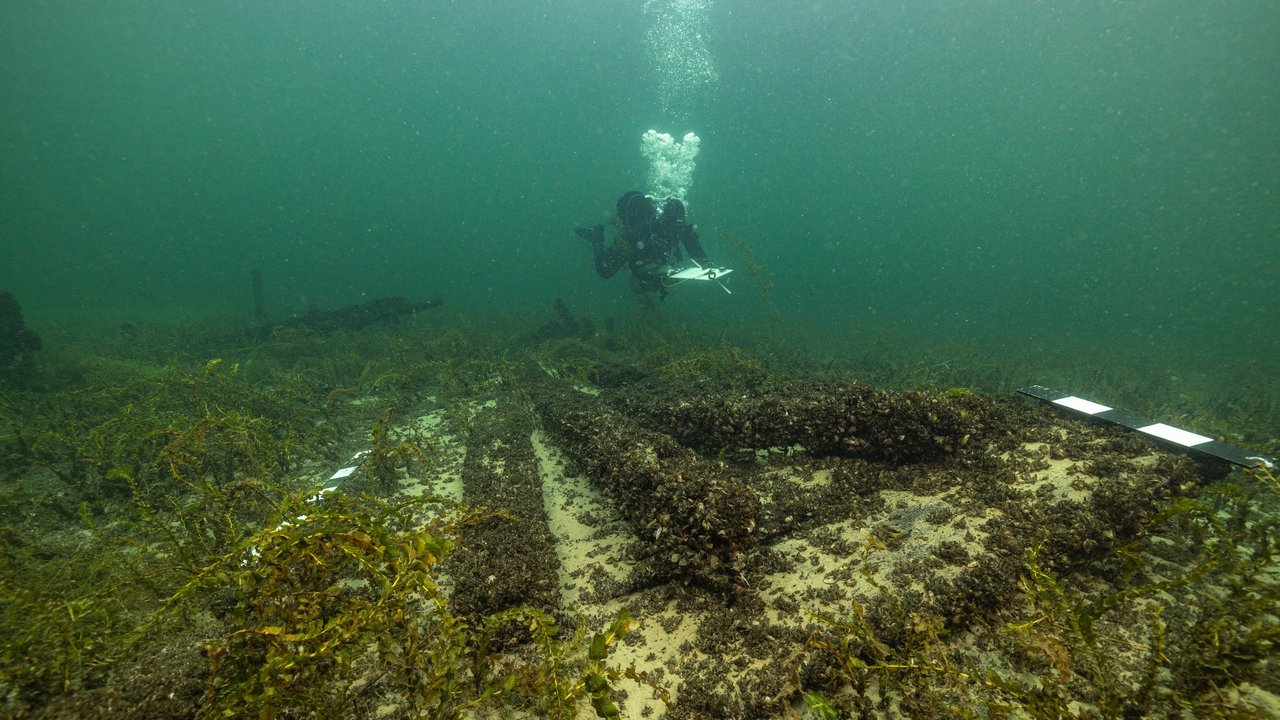 Bild zeigt eine Tauscherin im Bodensee