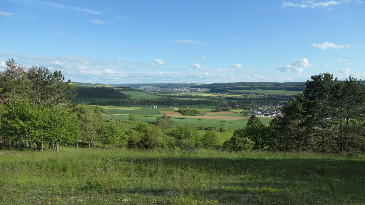 Lückiger, schafbeweideter Kalk-Magerrasen