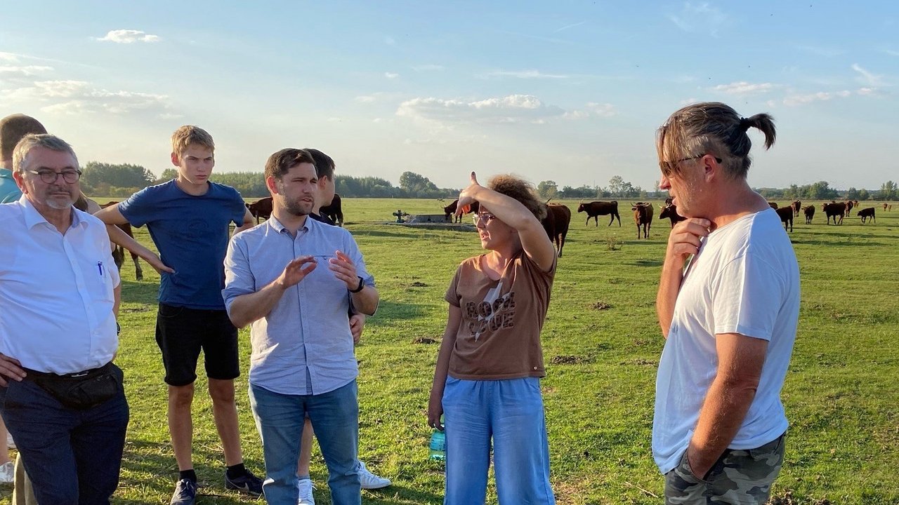 Gruppe auf der Weide im Hintergrund Rinder