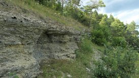 Naturschutzgebiet Ringelstaler-Weinhalde, Schaumkalkbank 