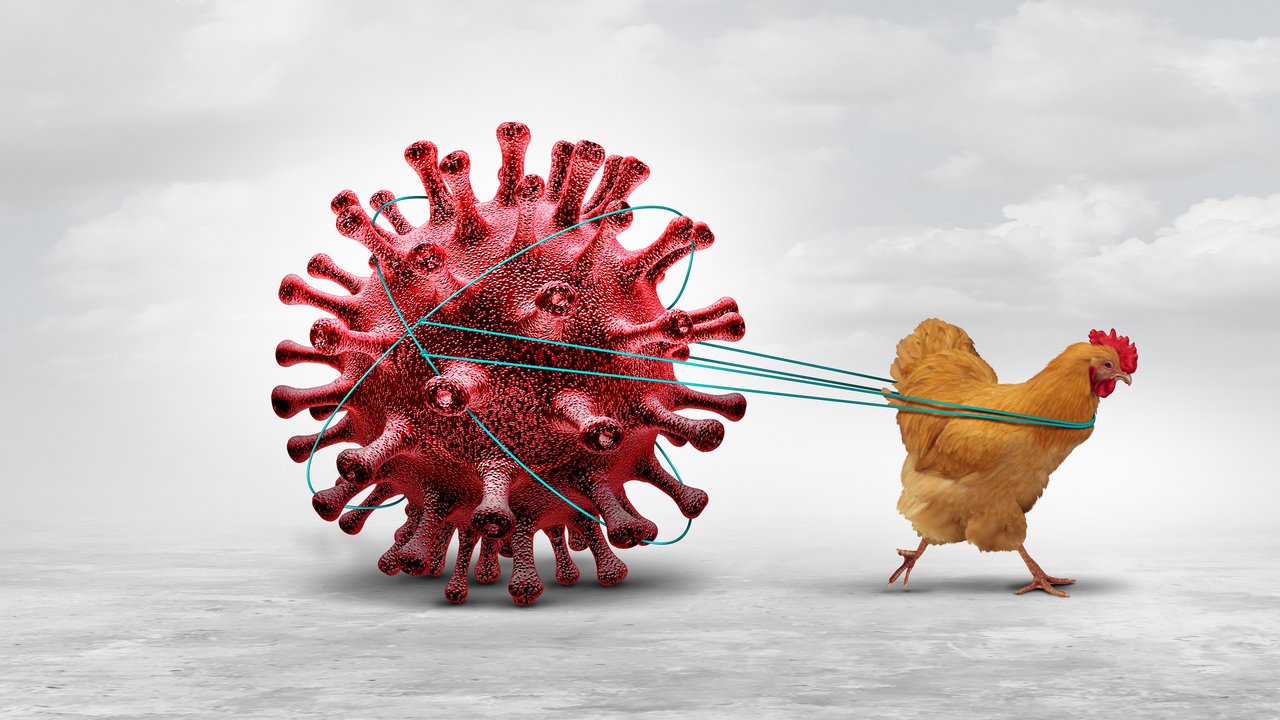 Bild zeigt vergrößerten Grippevirus den ein Huhn an einem Seil zieht