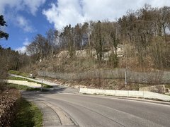 Vorabmaßnahme Steinschlagschutz