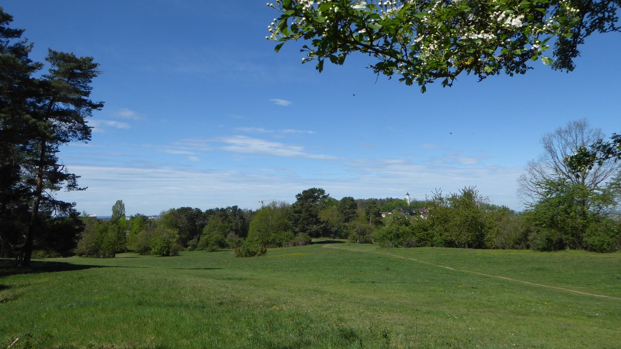 Naturschutzgebiet Gerlinger Heide