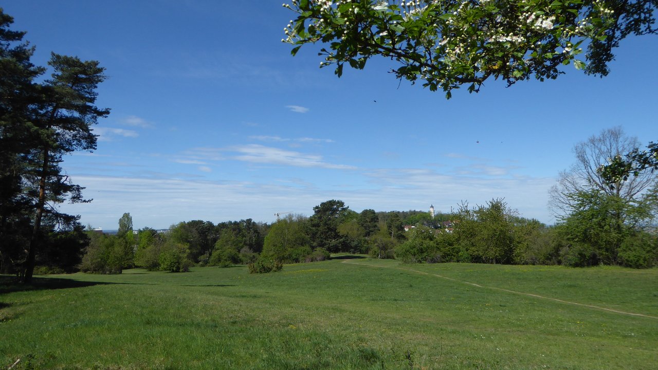 Naturschutzgebiet Gerlinger Heide