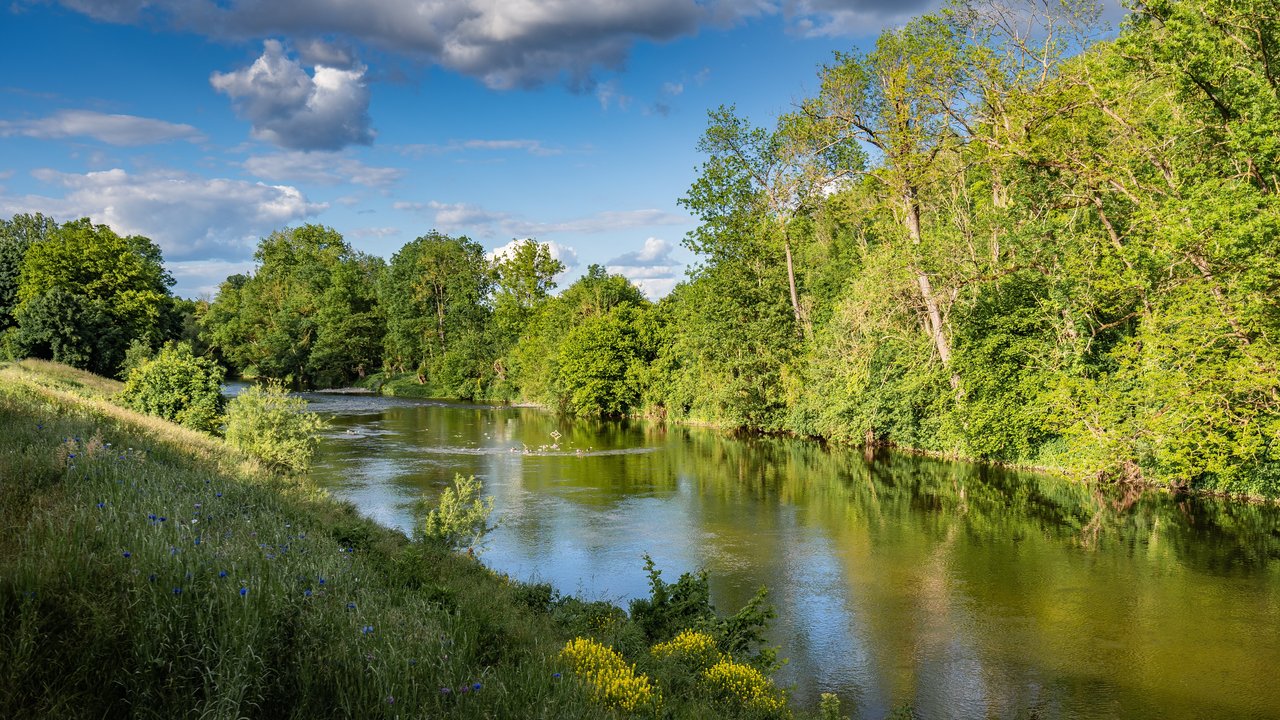 Flusslandschaft Flusslandschaft mit Bäumen und Wiesen