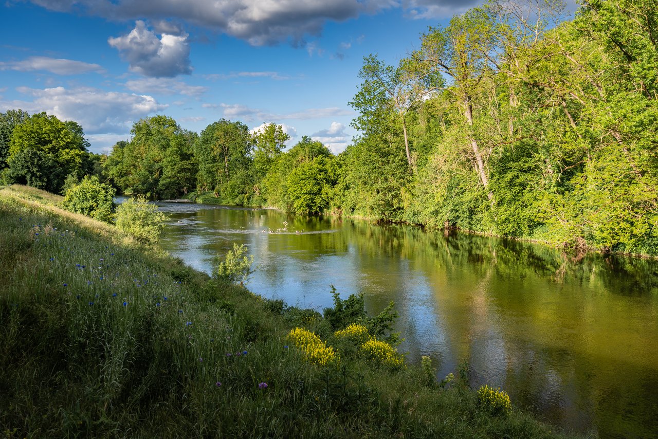 Flusslandschaft mit Bäumen und Wiesen