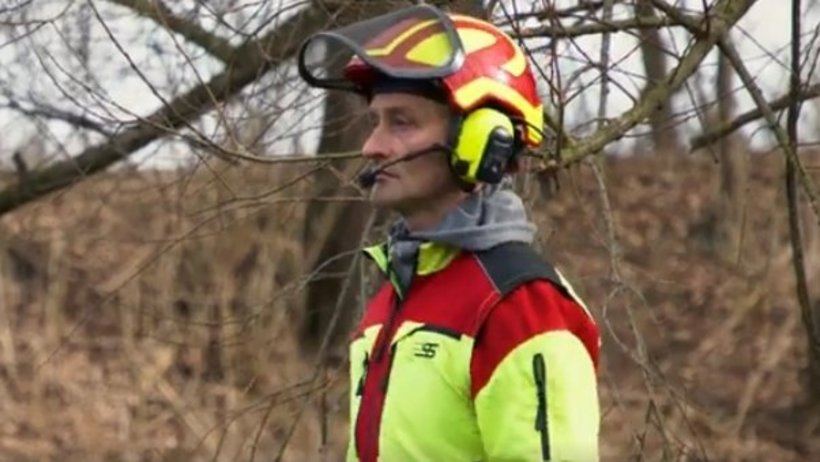 Waldarbeiter in Arbeitskleidung