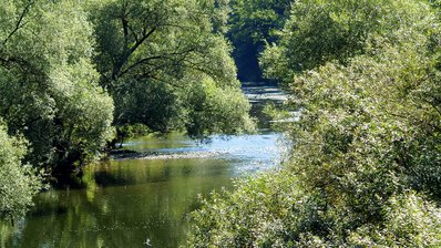 Flusslandschaft an der Jagst