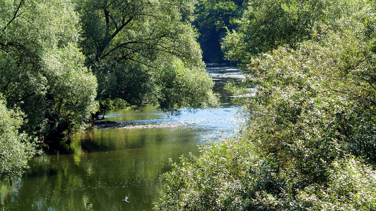 Flusslandschaft (Jagst - Klepsau) Bild zeigt Flusslandschaft (Jagst - Klepsau)