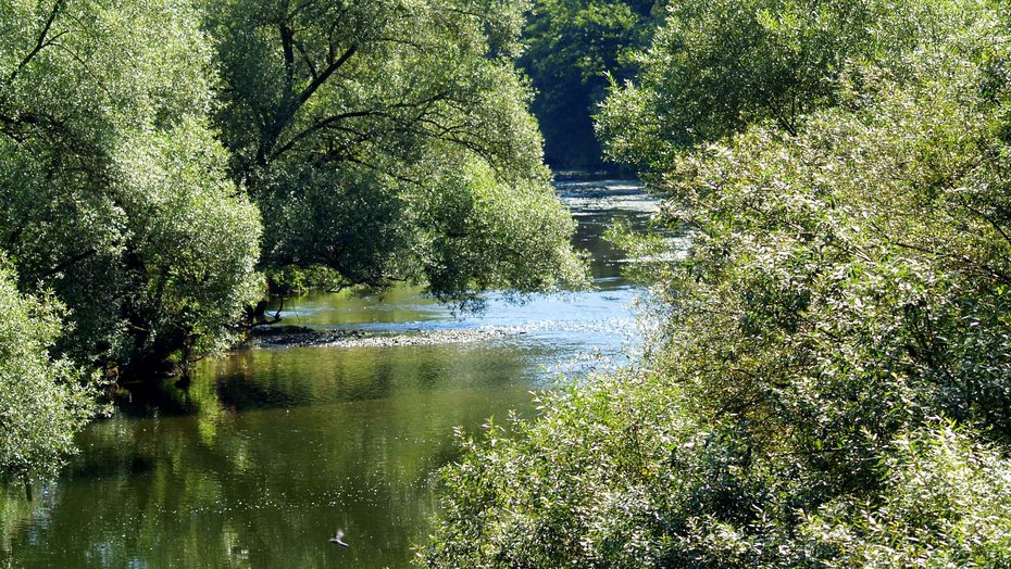 Flusslandschaft (Jagst - Klepsau) Bild zeigt Flusslandschaft (Jagst - Klepsau)