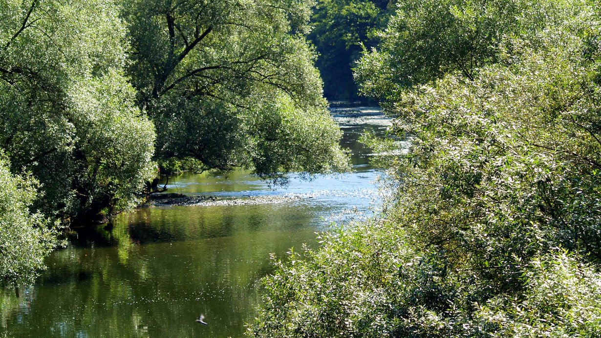 Flusslandschaft an der Jagst