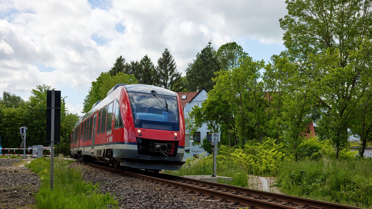 Regionalbahn in sommerlicher Landschaft