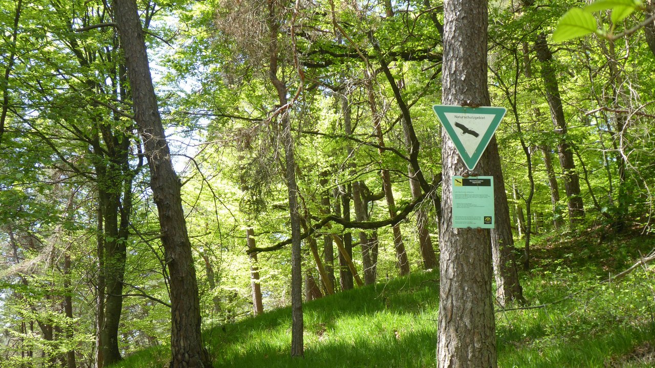 Das Naturschutzgebiet Jägerhölzle ist an den Zugängen beschildert.