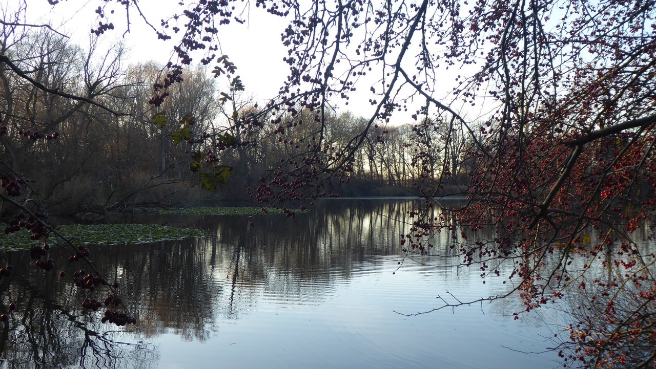 Naturschutzgebiet Denkendorfer Erlachsee