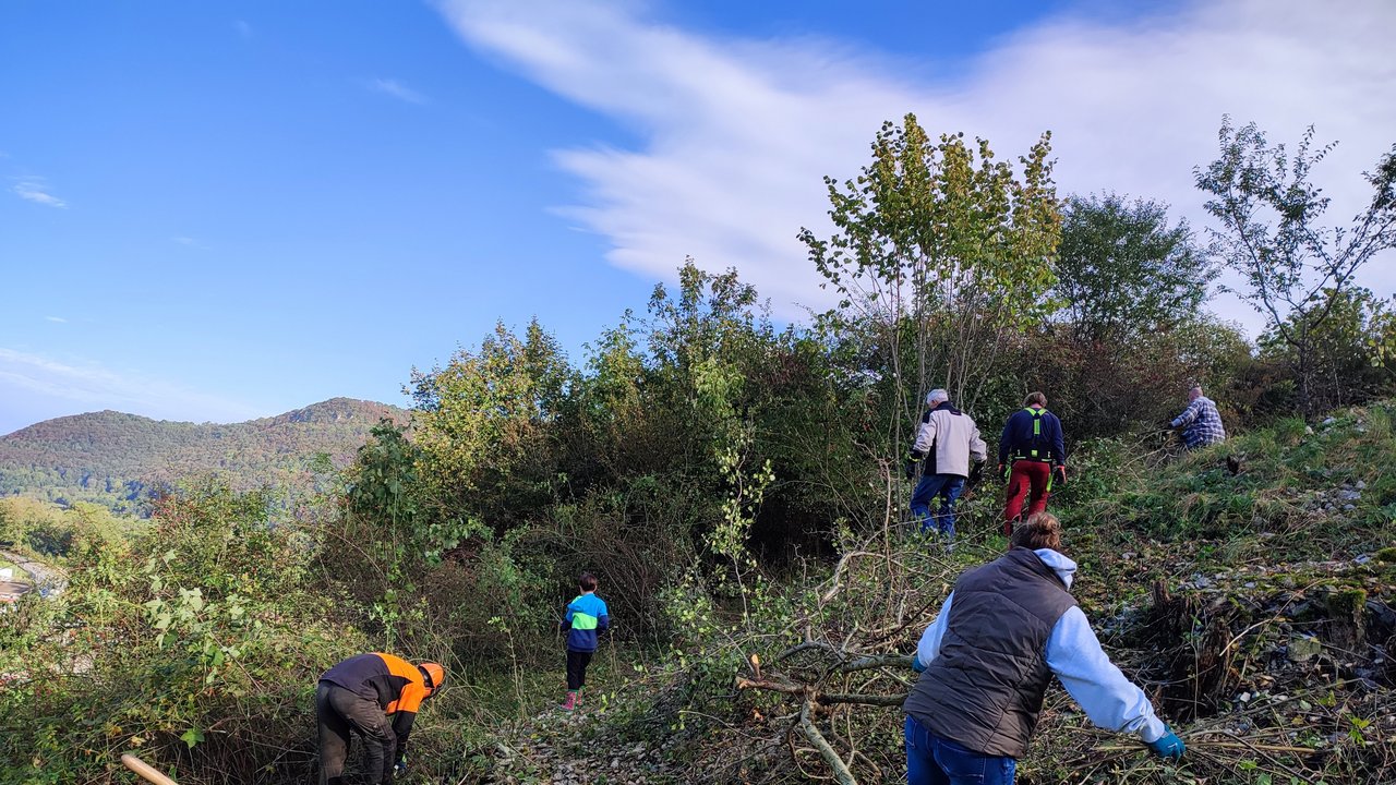 Mehr als 30 Helferinnen und Helfer reduzierten im Rahmen des Landschaftspflegetags im Naturschutzgebiet „Oberes Lenninger Tal“ Gehölze, um Steinriegeln wieder mehr Licht zu verschaffen.