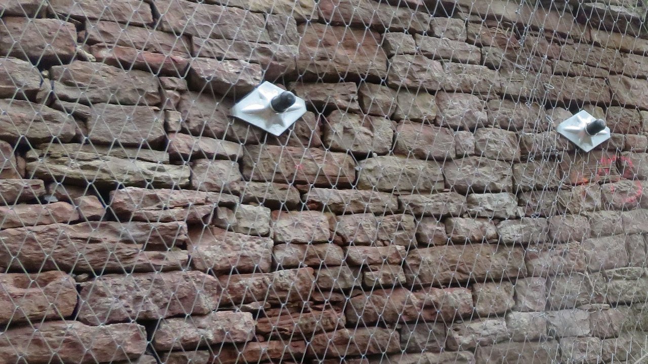 Drahtseilnetz mit Zugänglichkeit zum Mauerwerk für Reptilien