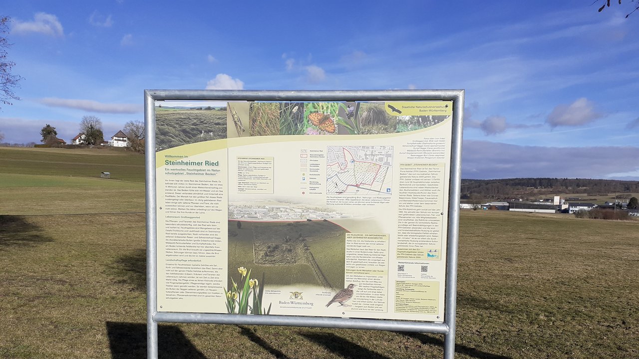 Bild zeigt eine Informationstafel im Naturschutzgebiet "Steinheimer Ried"" 