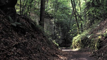 Naturschutzgebiet "Schilfsandsteinbruch". Ein romantischer Weg