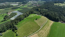Übersicht über die Lenensburg mit Blick nach Nordosten Richtung Argen- und Schussental.