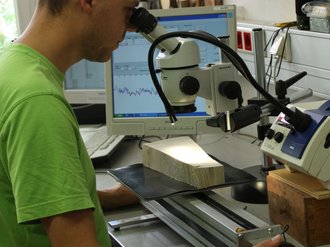 Jahrringmessung an einer Holzprobe im Dendrochronologischen Labor Hemmenhofen