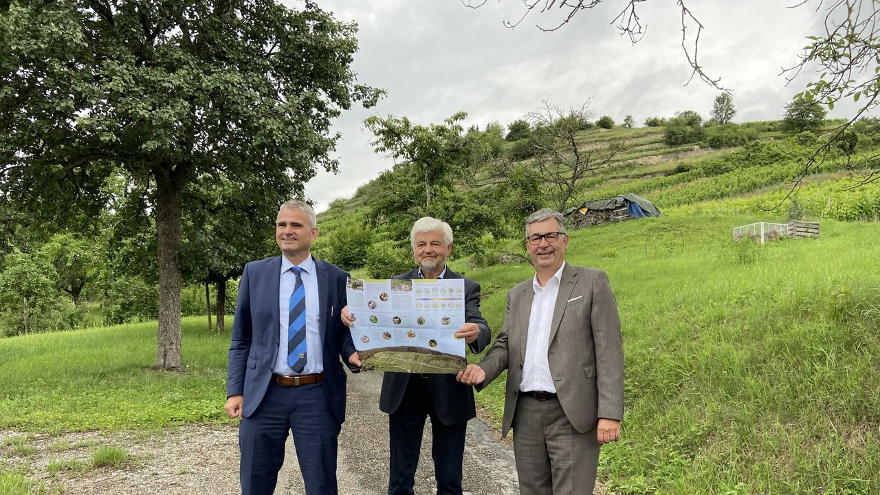 v.l.n.r.: Bürgermeister Holger Albrich, Regierungspräsident Wolfgang Reimer und Landrat Dietmar Allgaier bei der Präsentation des neuen Faltblatts