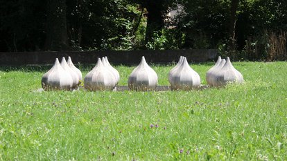 Wielandpark Biberach