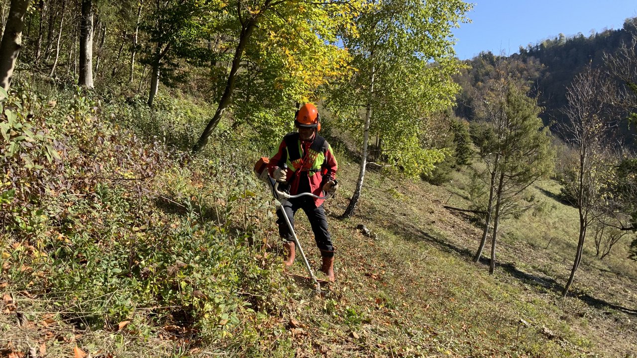 Bild zeigt einen Mitarbeiter des Landschaftspflegetrupps beim Schneiden von Gehölz