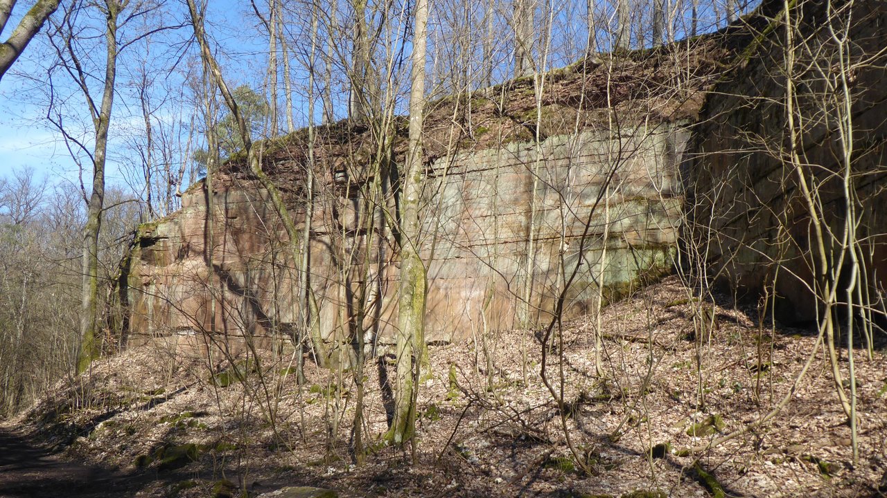 Naturschutzgebiet "Schilfsandsteinbruch beim Jägerhaus"