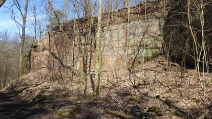 Naturschutzgebiet "Schilfsandsteinbruch beim Jägerhaus"