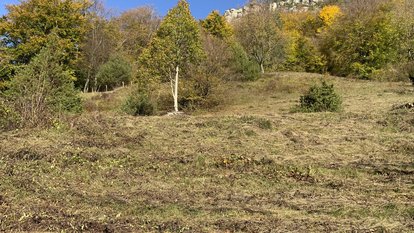 Landschaftspflegetag im Naturschutzgebiet „Oberer Berg“ Eine zuvor gemähte Fläche am Steilhang wird am Landschaftspflegetag abgeräumt.
