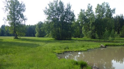 Flachmoor und Tümpel im FFH-Gebiet Albuchwiesen