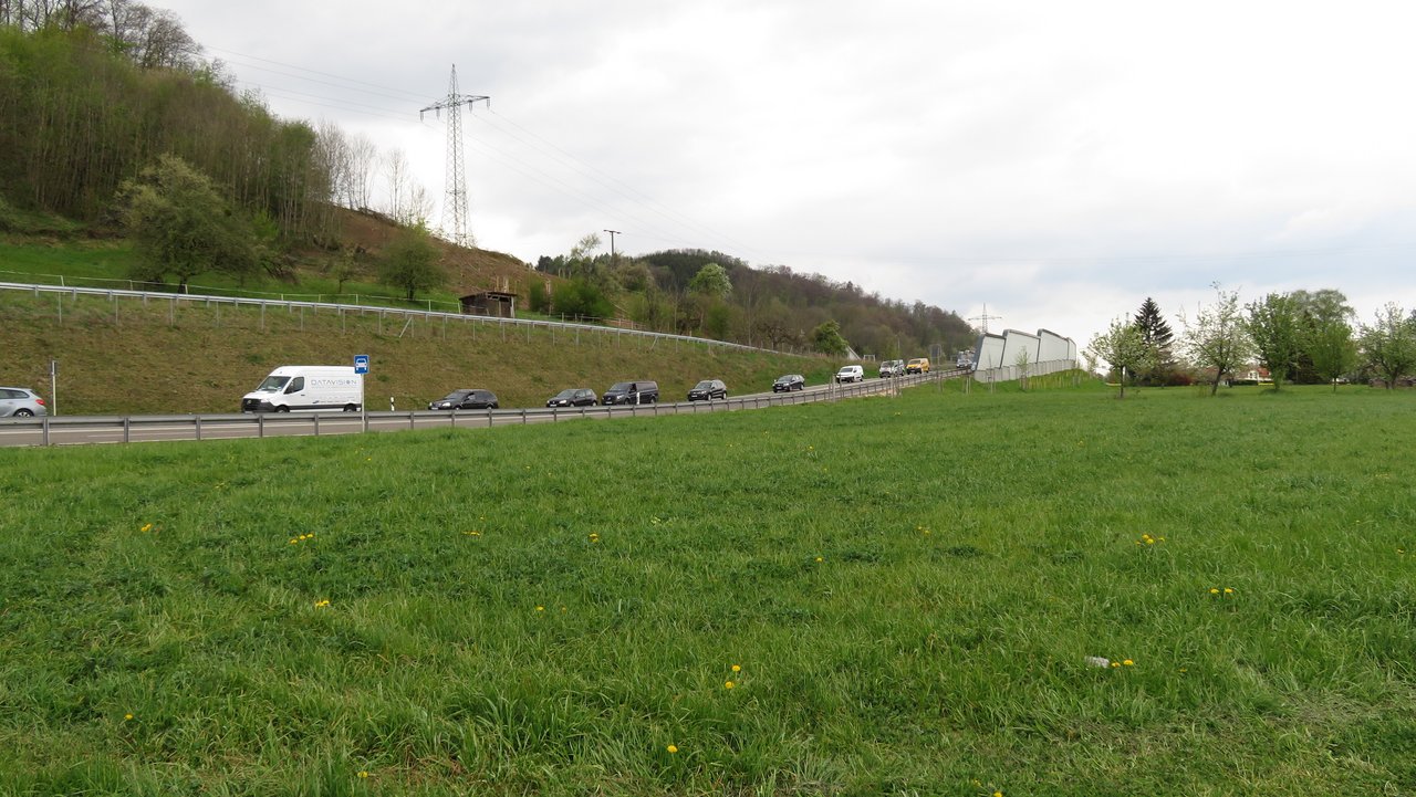 Bild zeigt eine Straße mit Kraftfahrzeugen, im Vordergrund eine Wiese