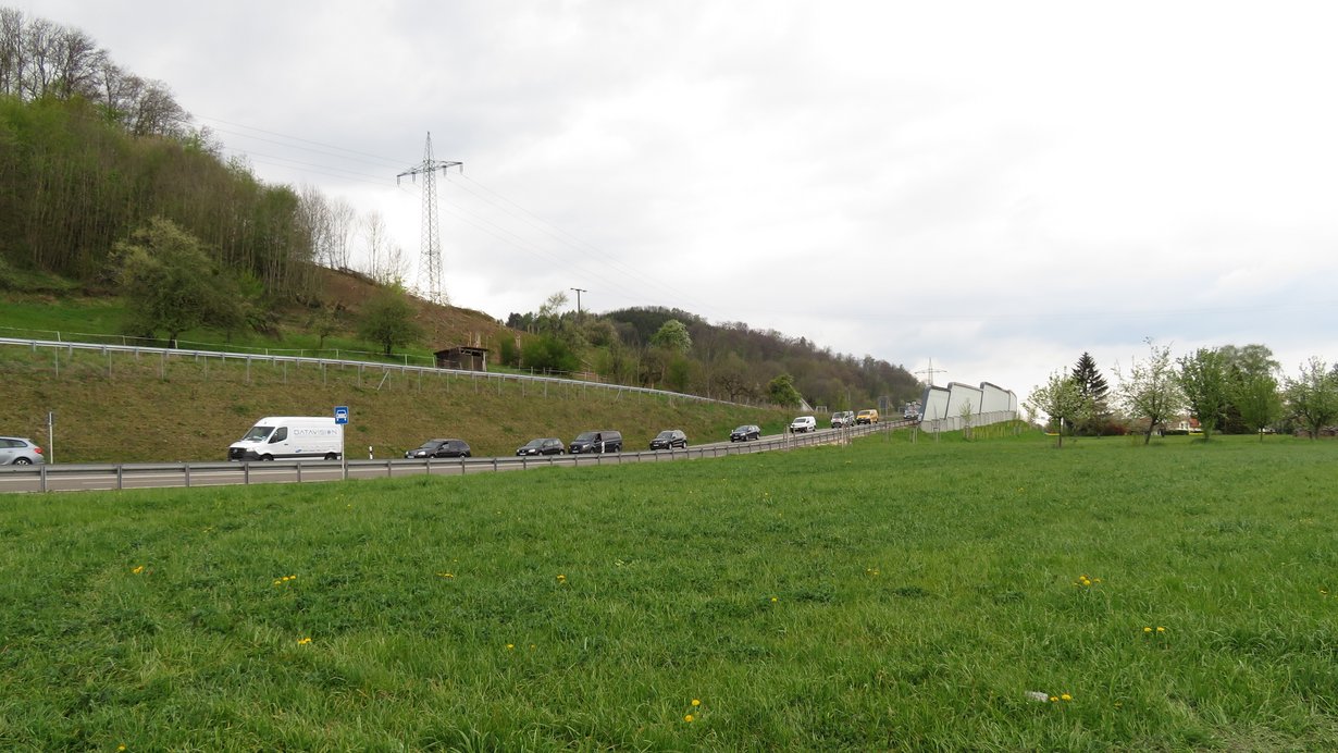 Bild zeigt eine Straße mit Kraftfahrzeugen, im Vordergrund eine Wiese