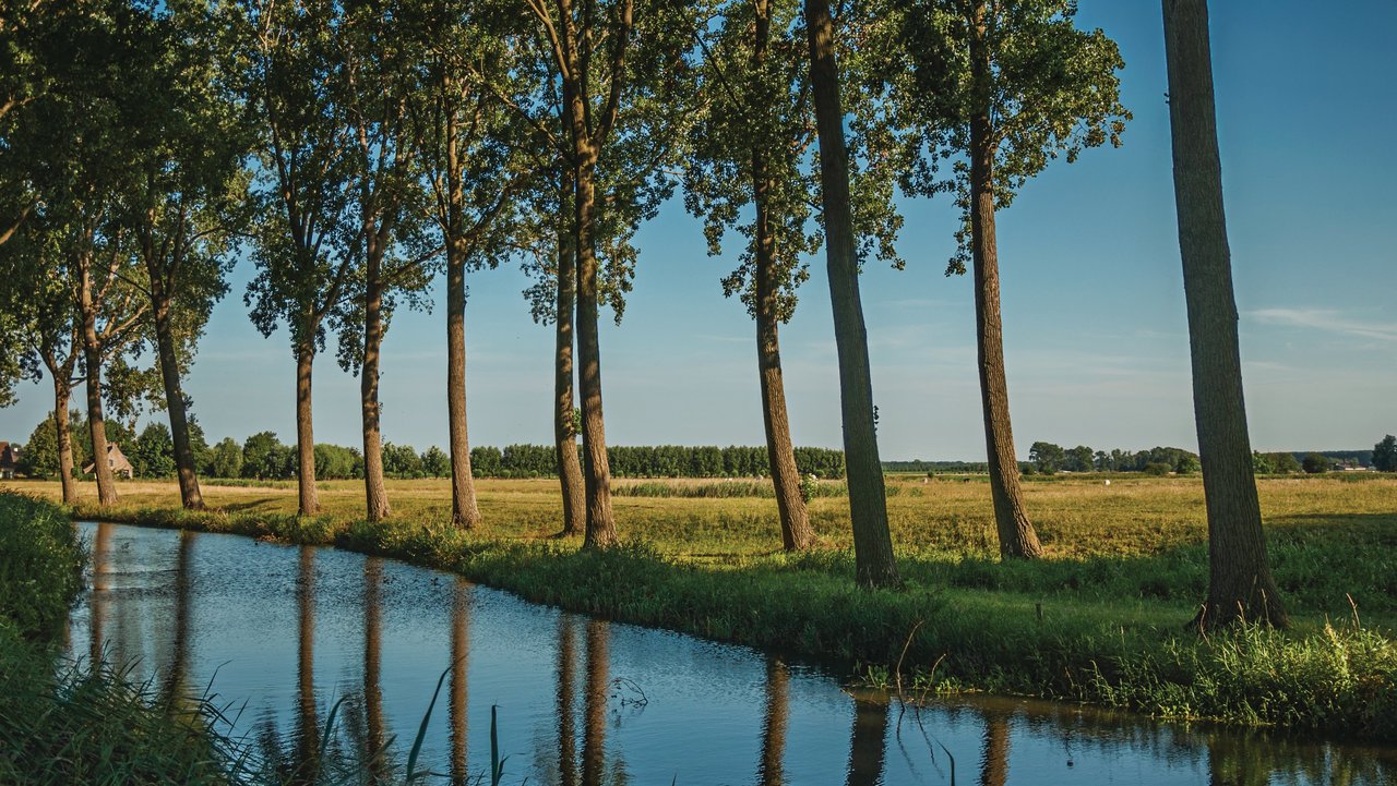 bild zeigt einen Fluß mit einer Baumallee