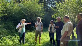 Naturschutzgebiet Köpfertal: Begehung Naturschutzgebiet Köpfertal: Begehung