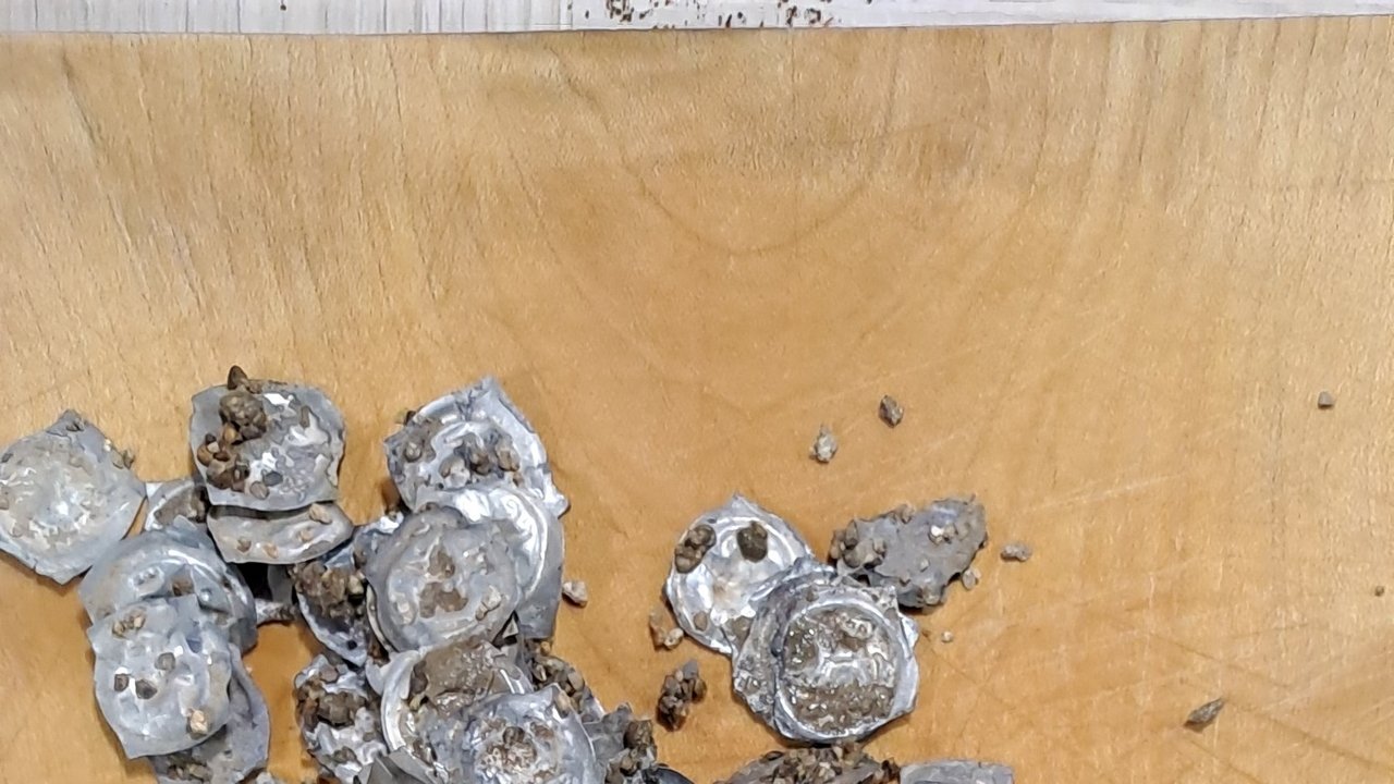 Münzfund Glottertal Alle Münzen auf einem Haufen
