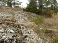 Felsen mit umgebenden sehr lückigen Kalk-Pionierrasen und Trockenrasen. Im Hochsommer ist die Vegetation häufig verdorrt, sie regeneriert sich im darauffolgenden Frühjahr. 