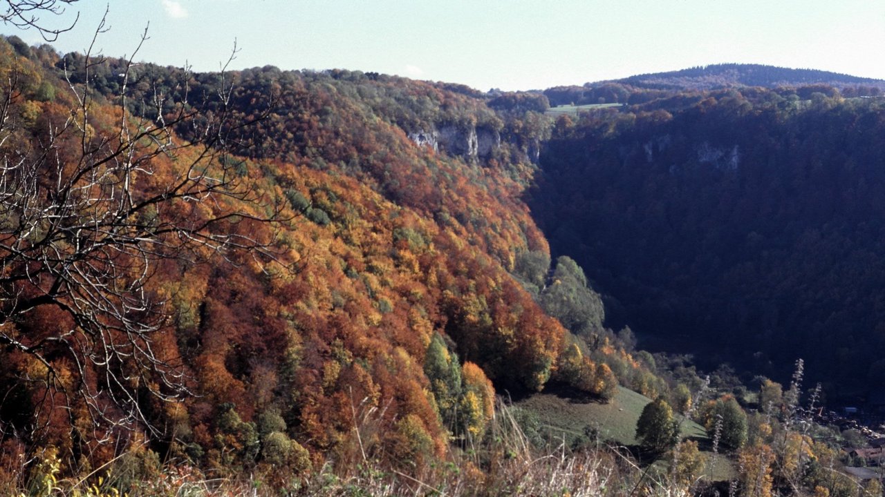 Naturschutzgebiet Oberes Lenninger Tal mit Buchenwäldern, Magerrasen und Felsen.