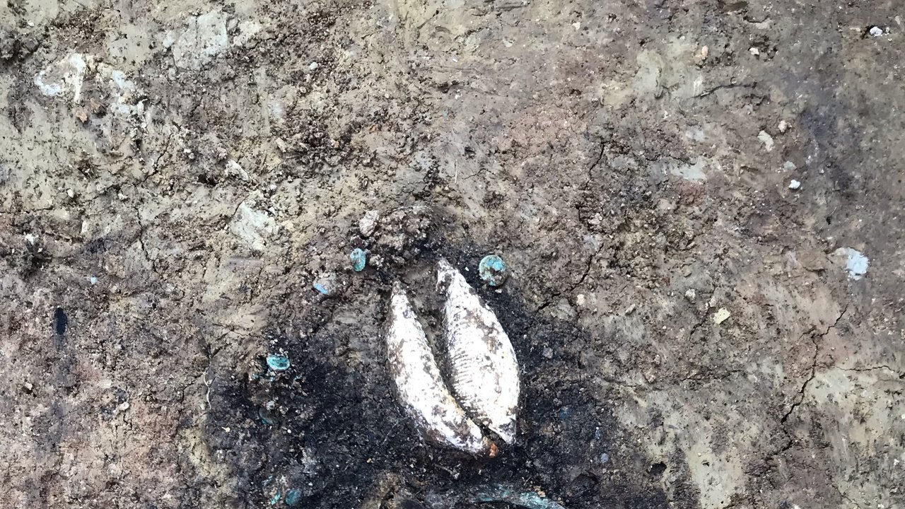 Bild zeigt das Bronzebecken mit Tierknochen und Keramikbecher am Fußende des Männergrabs