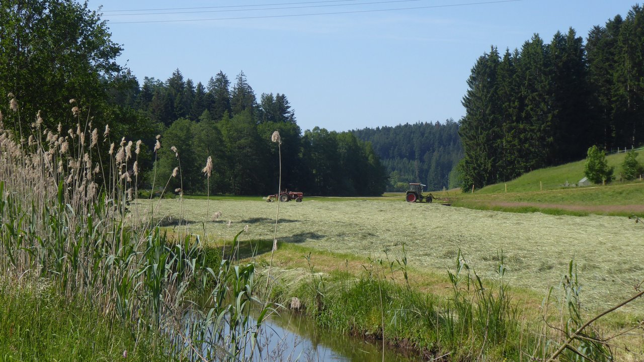 Naturschutzgebiet „Rottal zwischen Hüttenbühl und Buchengehren