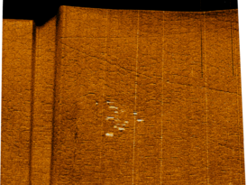 Sonaraufnahme der verlorenen Fässer am Seegrund 