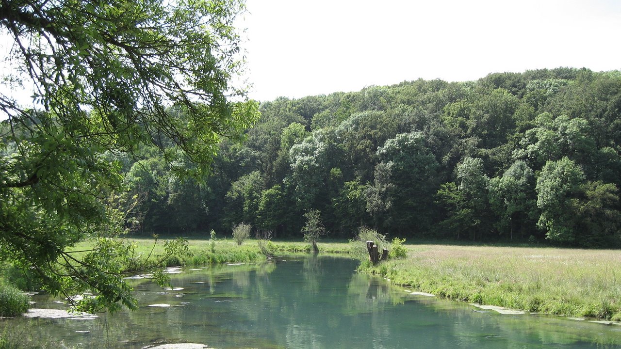 Die Brenz durchfließt das Eselsburger Tal, rechts und links Wiesen und Wälder